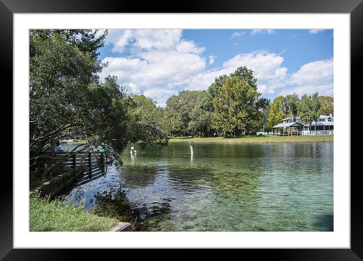 Lazy Day on the Rainbow River Framed Mounted Print by Judy Hall-Folde