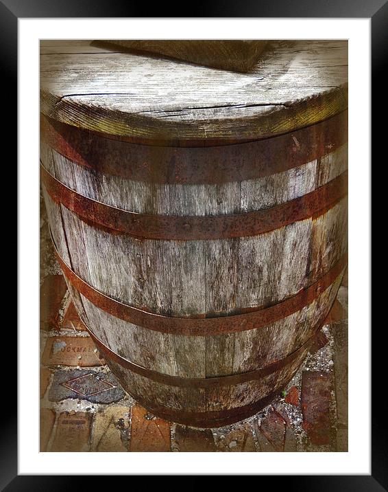 Looking Down the Barrel Framed Mounted Print by Judy Hall-Folde