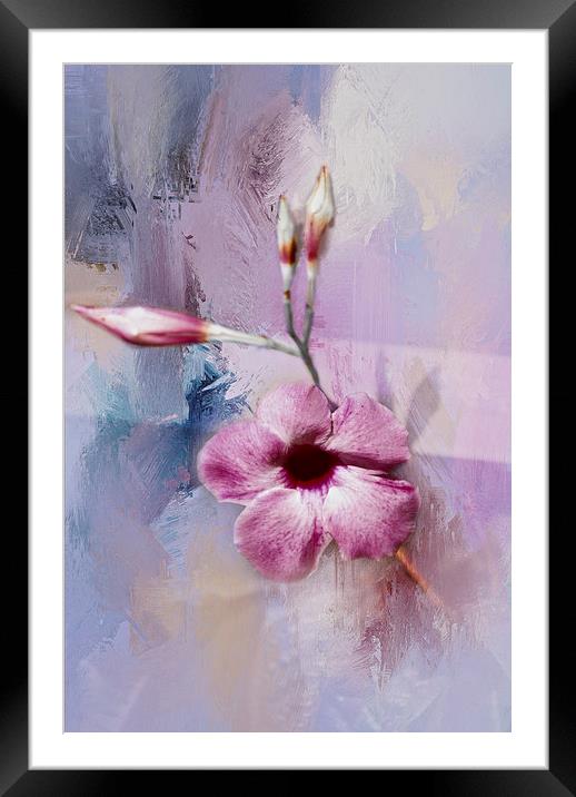 Painted Flowers Framed Mounted Print by Judy Hall-Folde