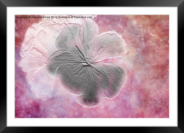 Fossil Flower Framed Mounted Print by Judy Hall-Folde