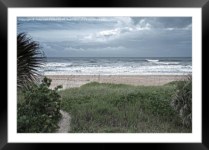 Flagler Beach Path Framed Mounted Print by Judy Hall-Folde