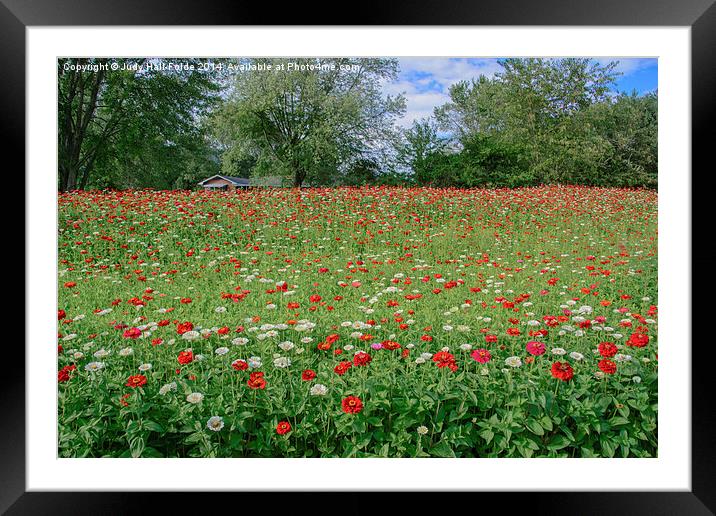  Country Color Framed Mounted Print by Judy Hall-Folde