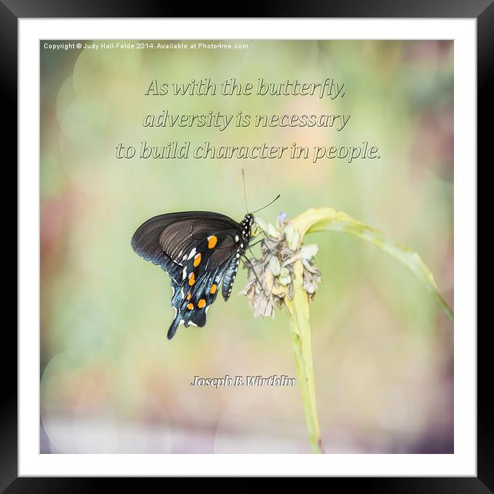  Building Character Butterfly Framed Mounted Print by Judy Hall-Folde