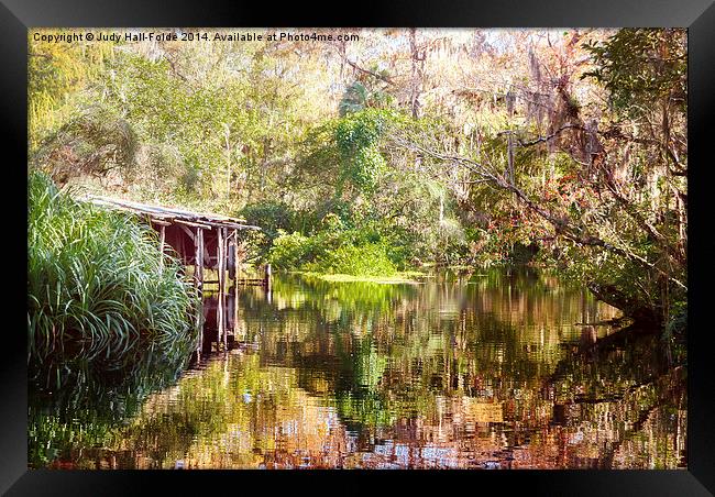  Swamp Life Framed Print by Judy Hall-Folde