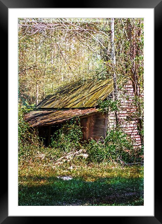  Tin Roof Rusted Framed Mounted Print by Judy Hall-Folde