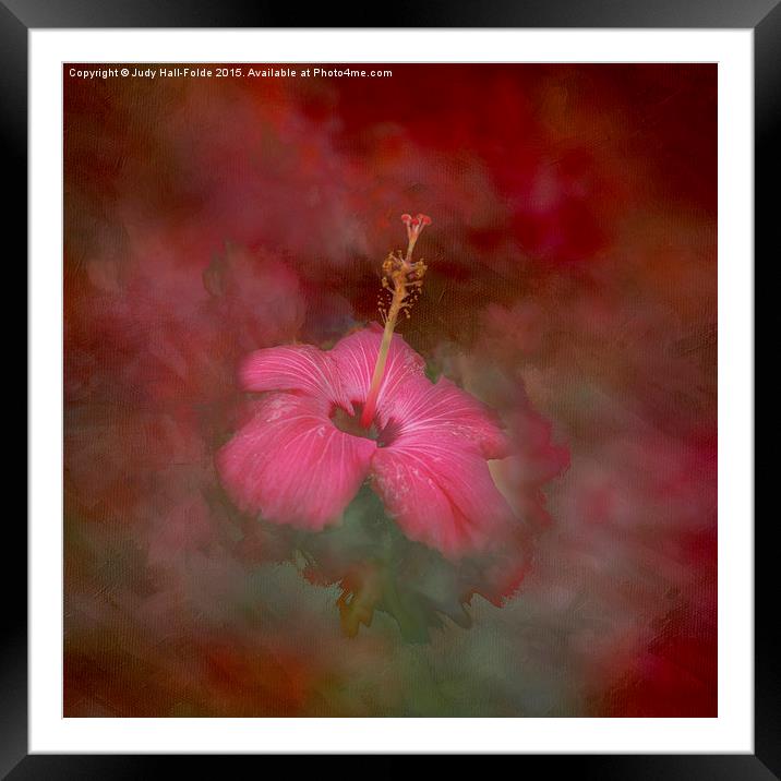  Flaming Hibiscus Framed Mounted Print by Judy Hall-Folde
