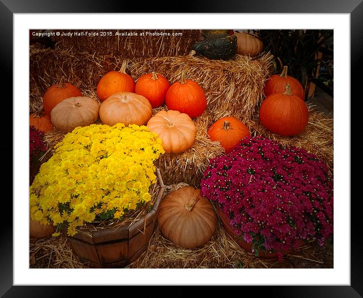  Fall Colors Framed Mounted Print by Judy Hall-Folde