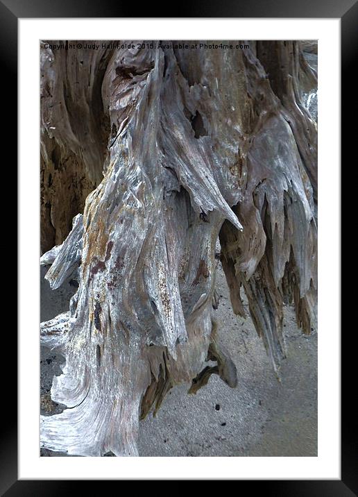  Driftwood and Sand Framed Mounted Print by Judy Hall-Folde