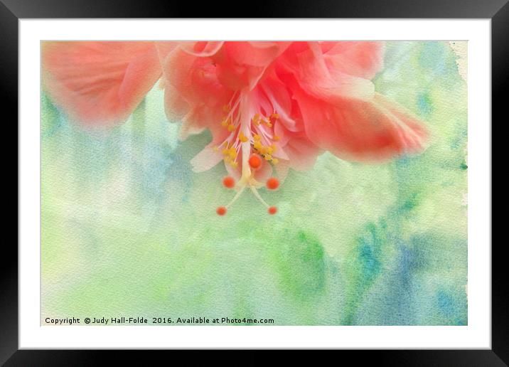 Sofly Colored Framed Mounted Print by Judy Hall-Folde