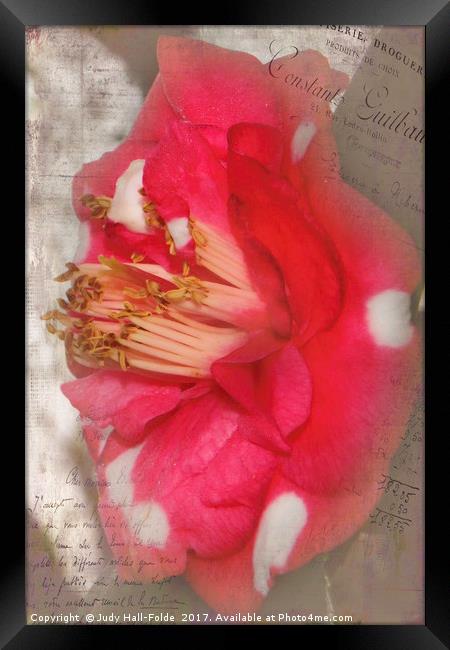 Flowery Memory Framed Print by Judy Hall-Folde
