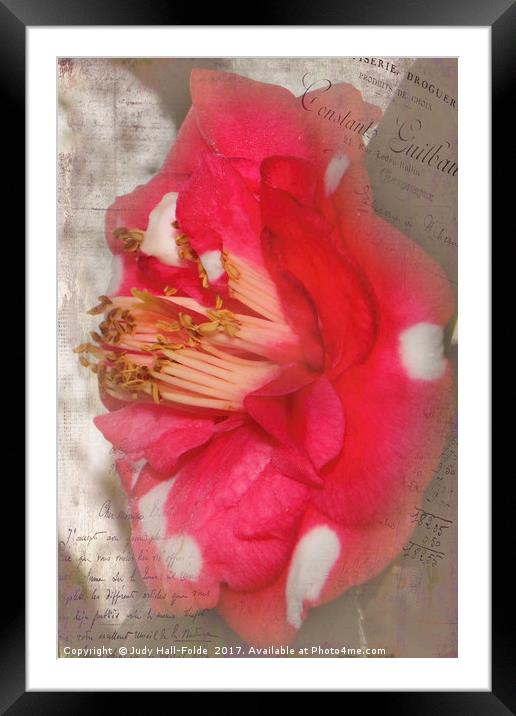 Flowery Memory Framed Mounted Print by Judy Hall-Folde