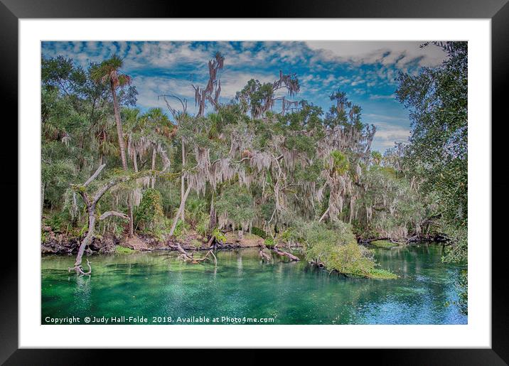Tropical Colors Framed Mounted Print by Judy Hall-Folde