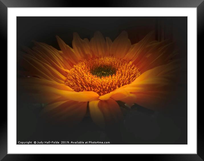 Bright Spot in Nature Framed Mounted Print by Judy Hall-Folde