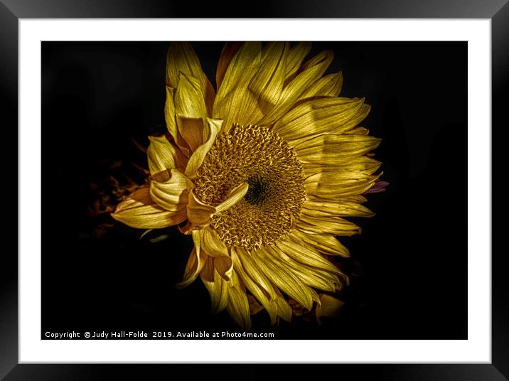 Grand Finale Framed Mounted Print by Judy Hall-Folde