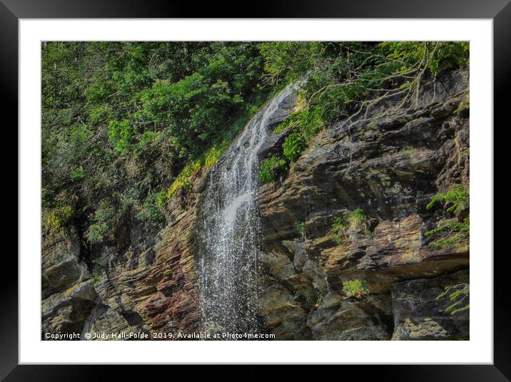 Top of the Fall Framed Mounted Print by Judy Hall-Folde