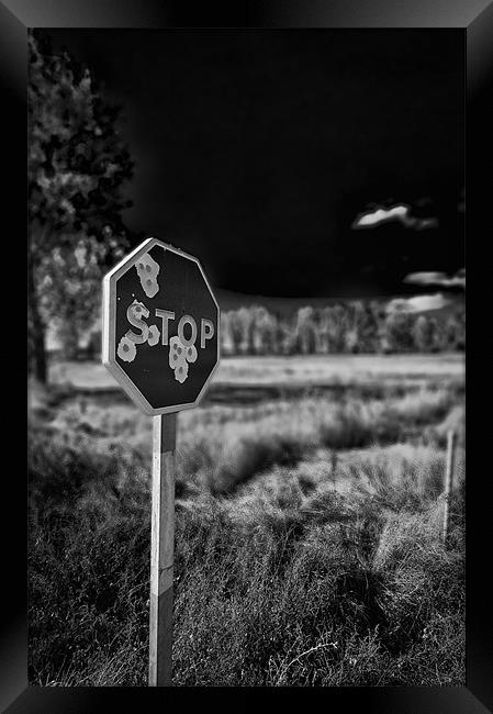 Shot up Stop Sign Framed Print by Sean Needham