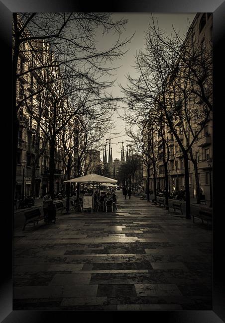 Rambla de Gaudí, Barcelona Framed Print by Sean Needham