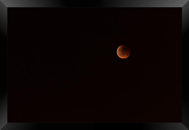 Red Eclipse Moon Framed Print by Sean Needham