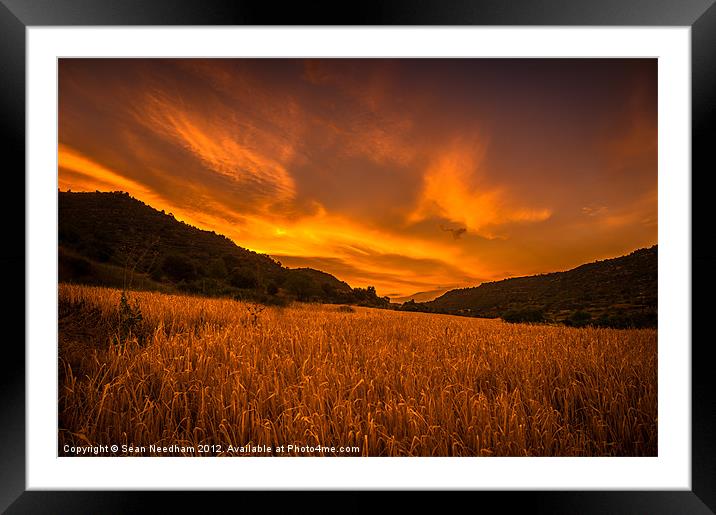 Fiery Summer Sunset Framed Mounted Print by Sean Needham