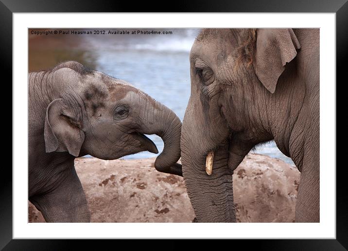 Mother and child Framed Mounted Print by P H