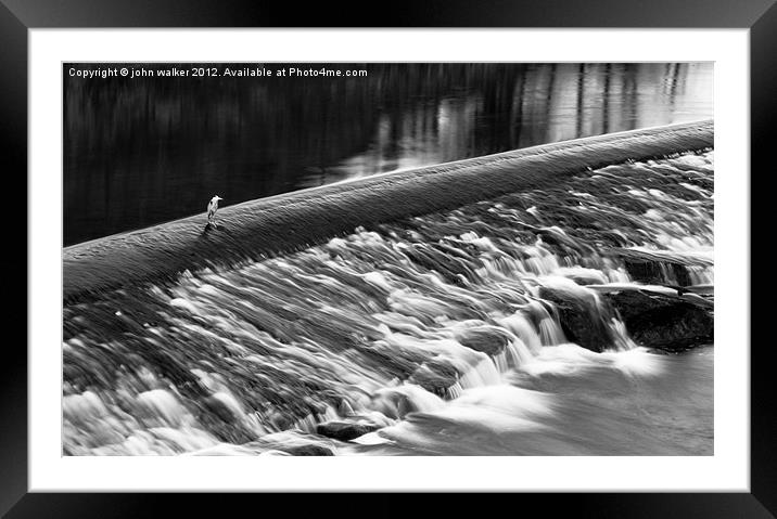 Heron on the Dee Framed Mounted Print by john walker