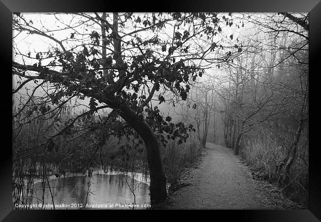 Down the path.. Framed Print by john walker