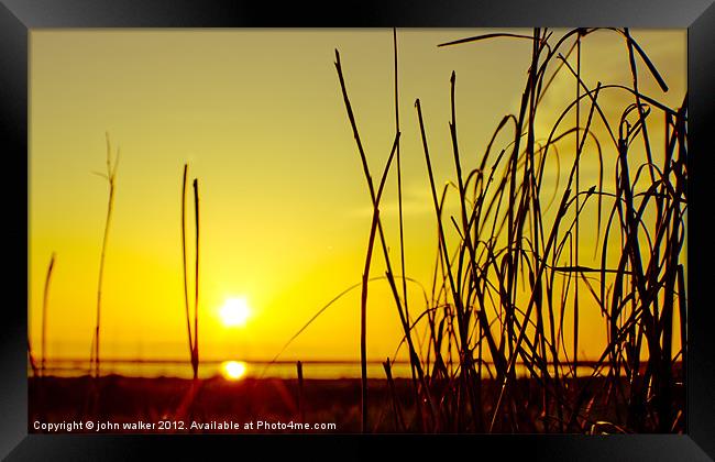 Parkgate Grass at Sunset Framed Print by john walker