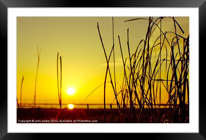 Parkgate Grass at Sunset Framed Mounted Print by john walker