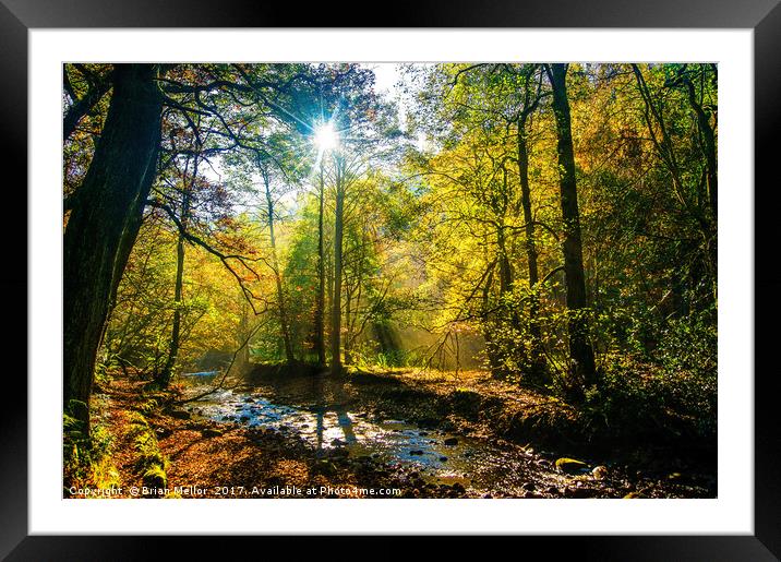 Autumn At Agden Framed Mounted Print by Brian Mellor