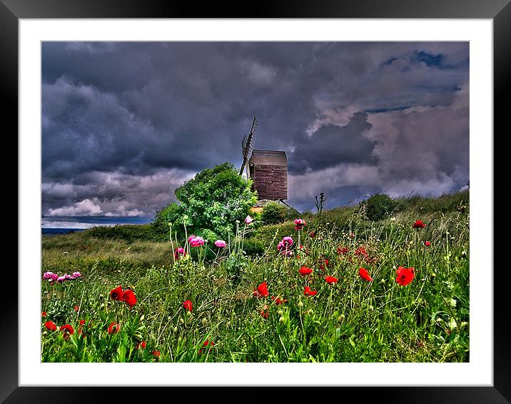 mill wild flowers hdr Framed Mounted Print by carl blake