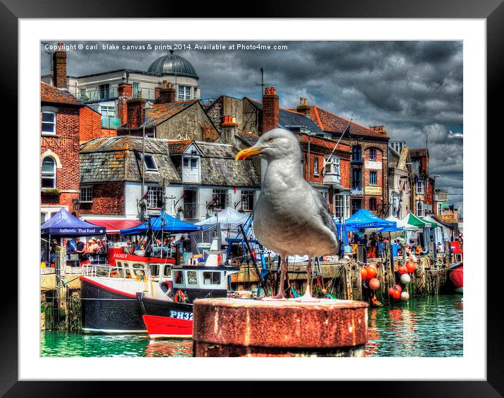 weymouth harbour  Framed Mounted Print by carl blake