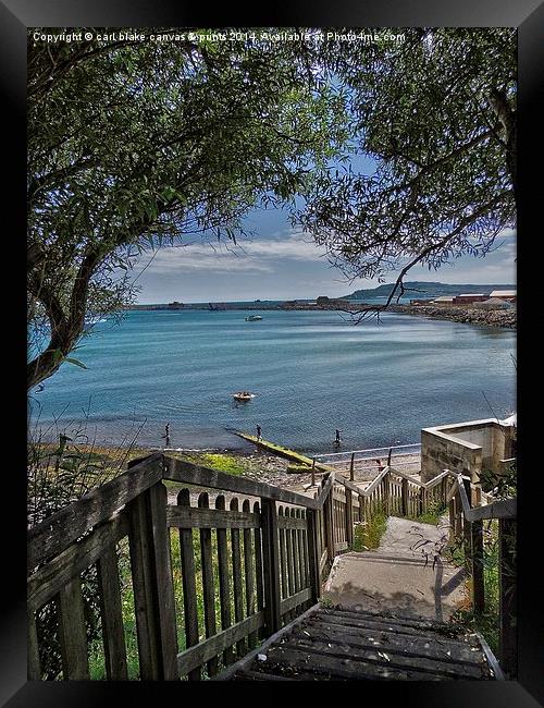 nothe gardens weymouth  Framed Print by carl blake