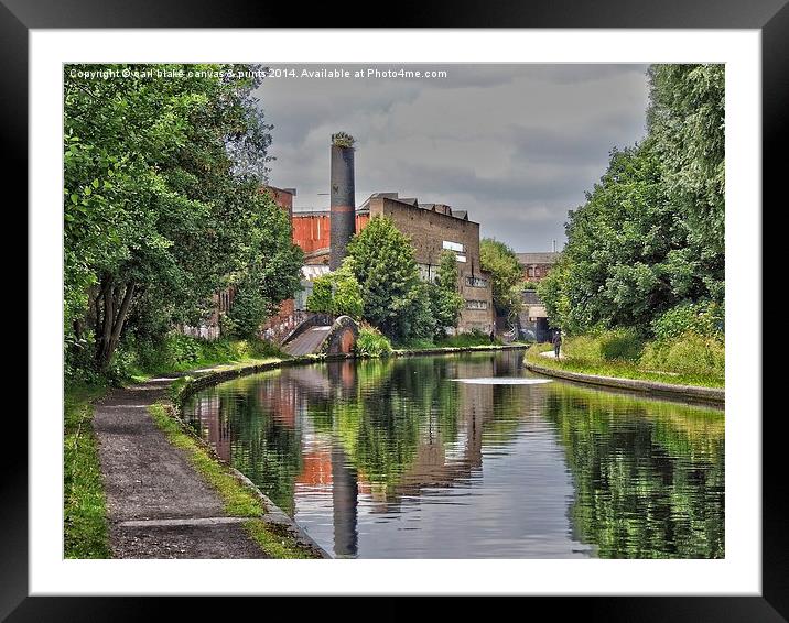  canal walk Framed Mounted Print by carl blake