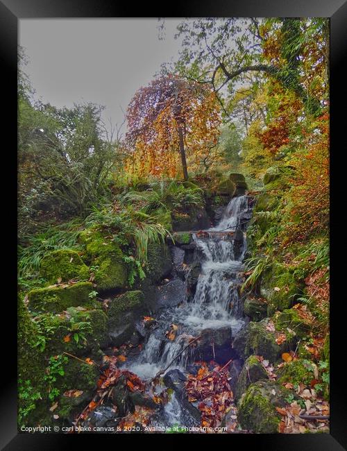 A large waterfall in a forest Framed Print by carl blake