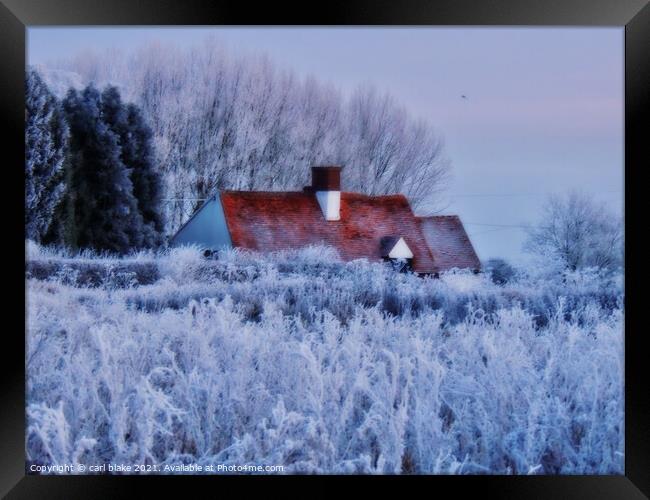 home for winter Framed Print by carl blake