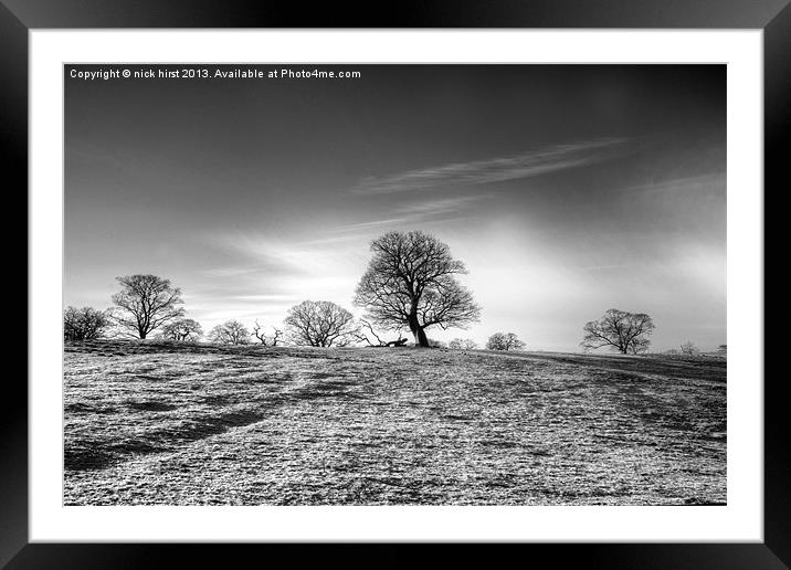 Trees Framed Mounted Print by nick hirst