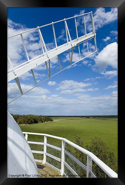 Head To Wind Framed Print by Digitalshot Photography