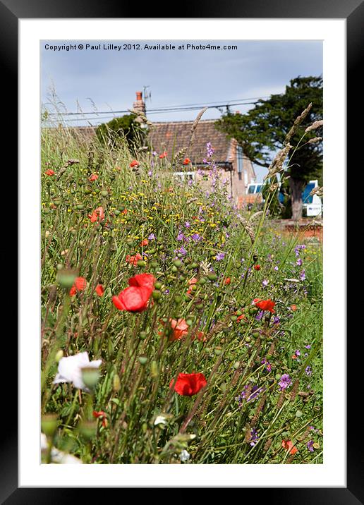 A Kaleidoscope of Colour Framed Mounted Print by Digitalshot Photography