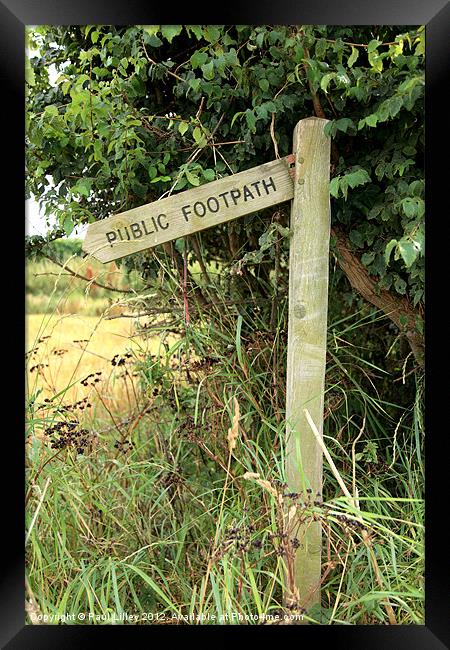 Go West! #2 Framed Print by Digitalshot Photography