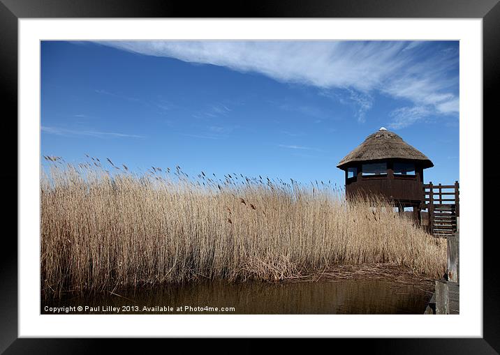 The Lookout Framed Mounted Print by Digitalshot Photography