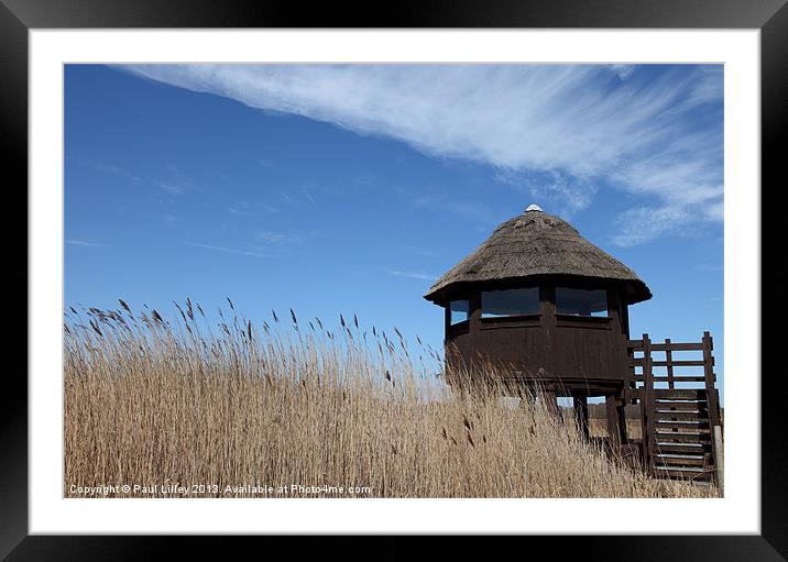 The Lookout 2 Framed Mounted Print by Digitalshot Photography