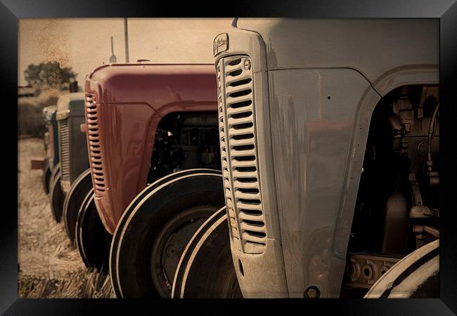 Classic Ferguson TE20 Tractors in Sepia Framed Print by Digitalshot Photography