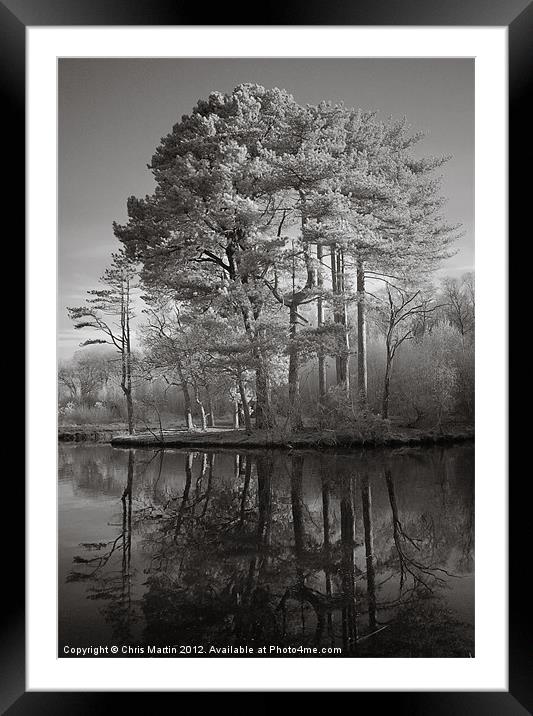 Infrared Trees with Reflection Framed Mounted Print by Chris Martin