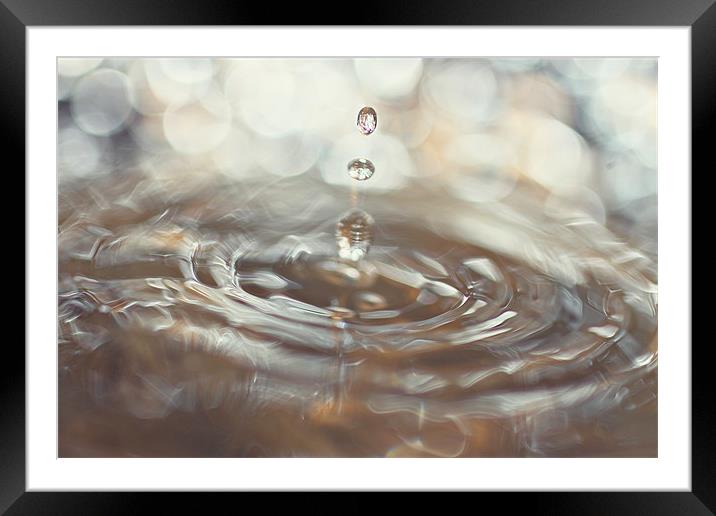 Water Droplet Splash Framed Mounted Print by Rachel Webb