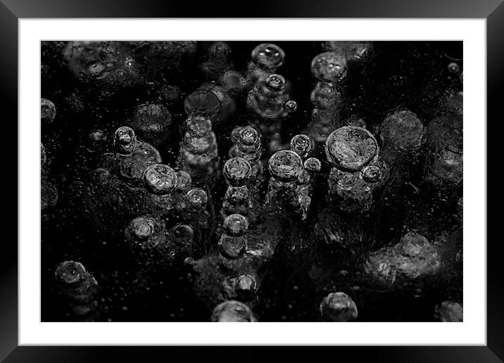 Ice Bubbles Framed Mounted Print by Rachel Webb