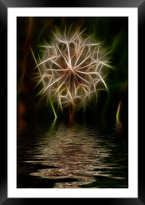 Dandelion iPhone Case Framed Mounted Print by pixelviii Photography