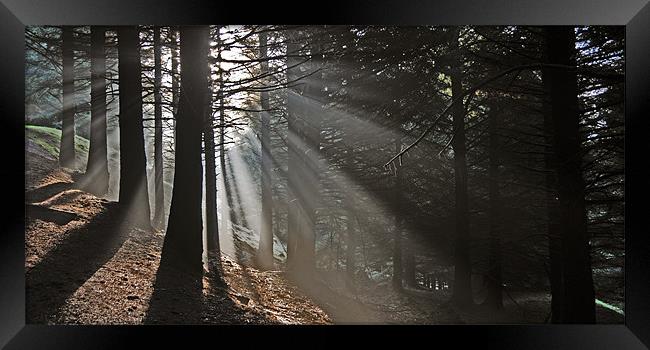 Rays of light Framed Print by james green