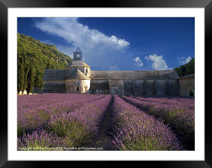 Lavender Fields in France Framed Mounted Print by Philip Pound