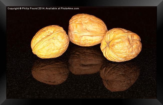 Walnuts Framed Print by Philip Pound