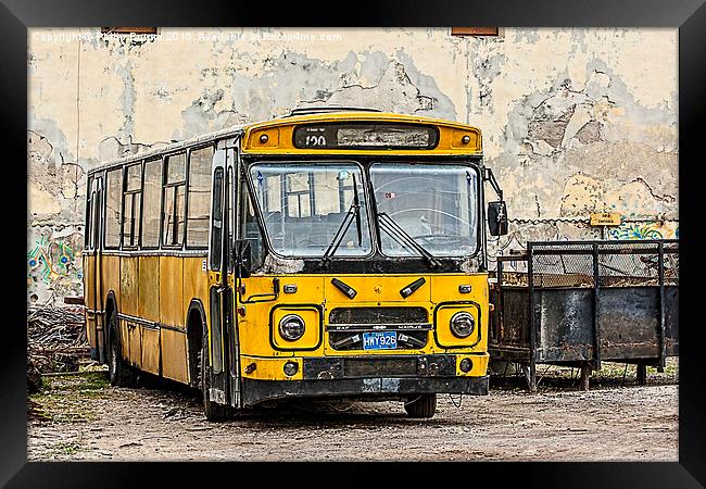  Old Yellow School Bus in Cuba Framed Print by Philip Pound